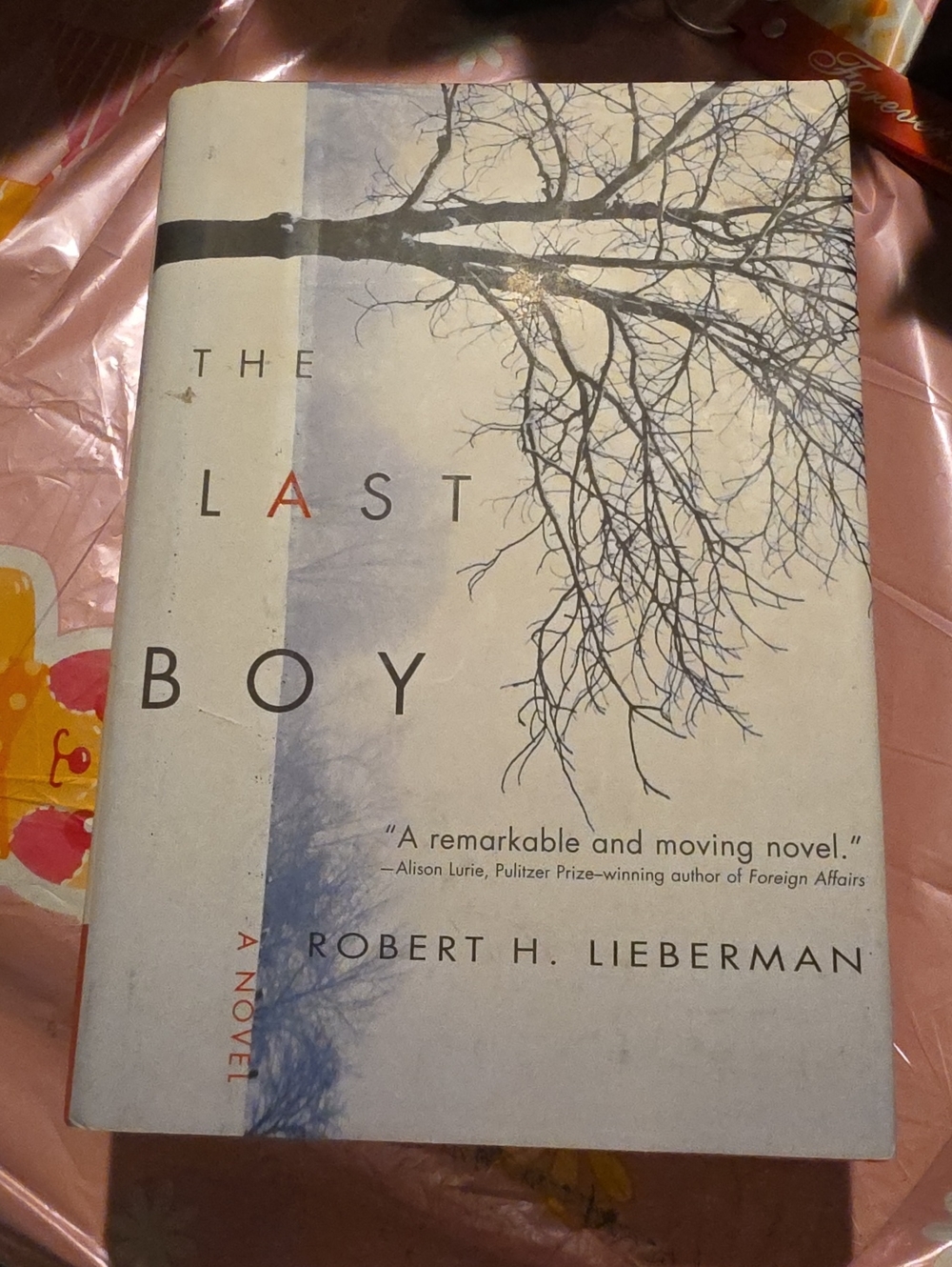 The Last Boy by - Cream/Gray Cover